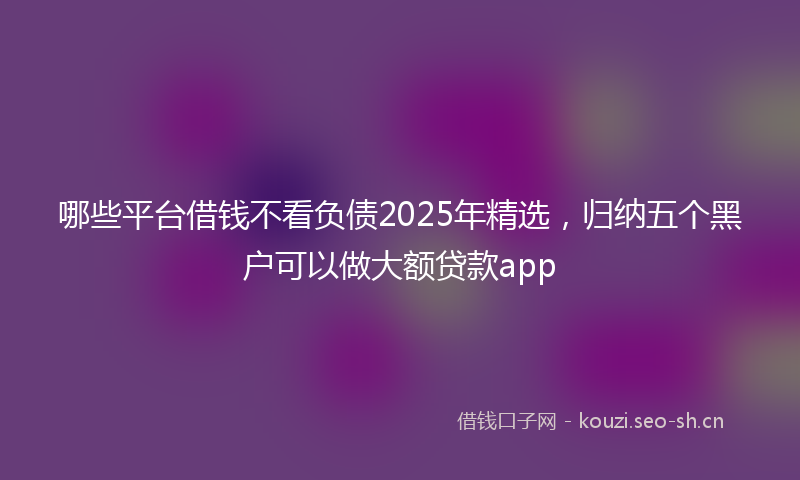 哪些平台借钱不看负债2025年精选,归纳五个黑户可以做大额贷款app