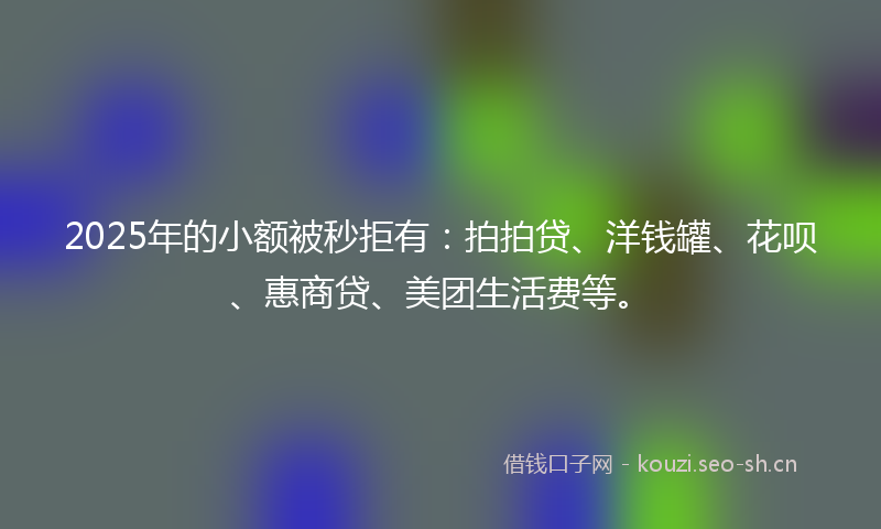 2025年的小额被秒拒有:拍拍贷、洋钱罐、花呗、惠商贷、美团生活费等。