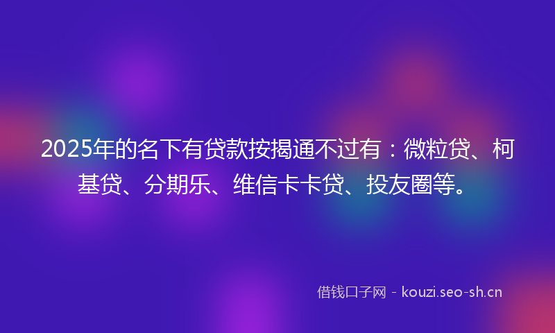 2025年的名下有贷款按揭通不过有：微粒贷、柯基贷、分期乐、维信卡卡贷、投友圈等。