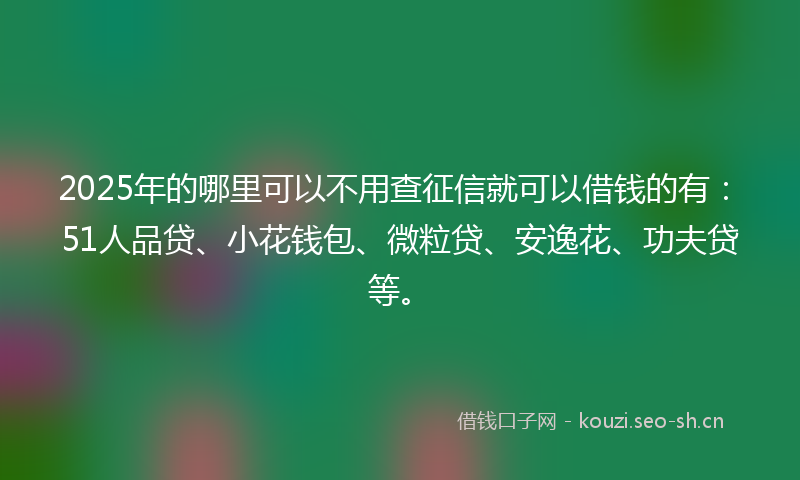 2025年的哪里可以不用查征信就可以借钱的有：51人品贷、小花钱包、微粒贷、安逸花、功夫贷等。
