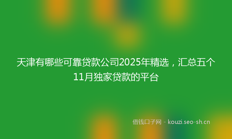 天津有哪些可靠贷款公司2025年精选，汇总五个11月独家贷款的平台