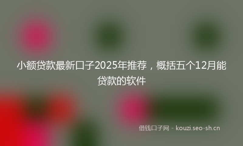 小额贷款最新口子2025年推荐，概括五个12月能贷款的软件