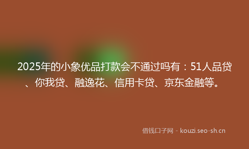 2025年的小象优品打款会不通过吗有:51人品贷、你我贷、融逸花、信用卡贷、京东金融等。