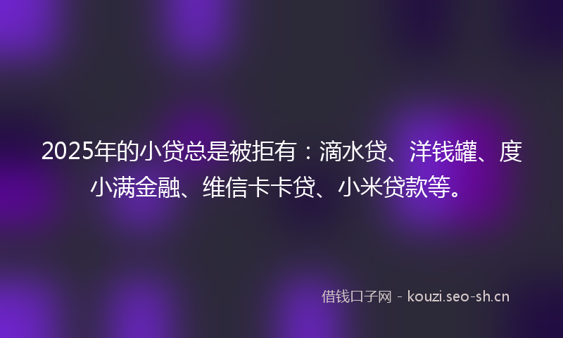 2025年的小贷总是被拒有:滴水贷、洋钱罐、度小满金融、维信卡卡贷、小米贷款等。