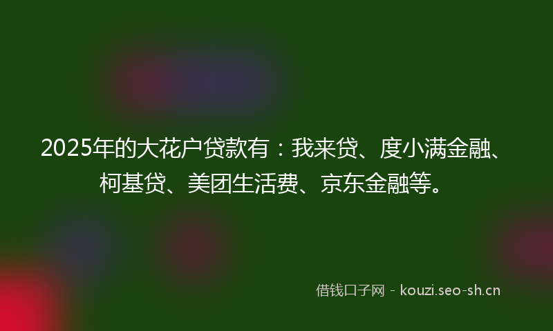 2025年的大花户贷款有：我来贷、度小满金融、柯基贷、美团生活费、京东金融等。