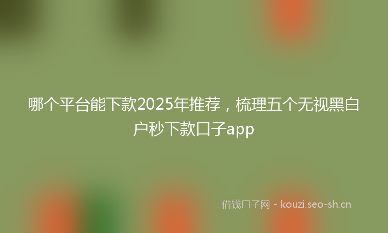 哪个平台能下款2025年推荐，梳理五个无视黑白户秒下款口子app