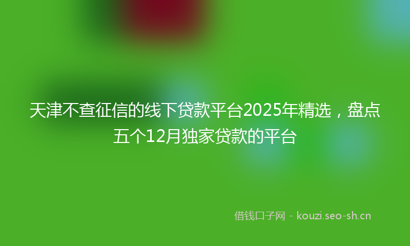 天津不查征信的线下贷款平台2025年精选，盘点五个12月独家贷款的平台
