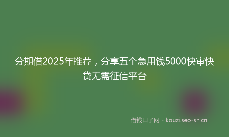 分期借2025年推荐，分享五个急用钱5000快审快贷无需征信平台
