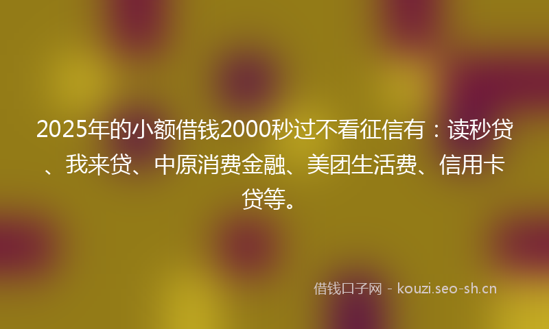 2025年的小额借钱2000秒过不看征信有：读秒贷、我来贷、中原消费金融、美团生活费、信用卡贷等。