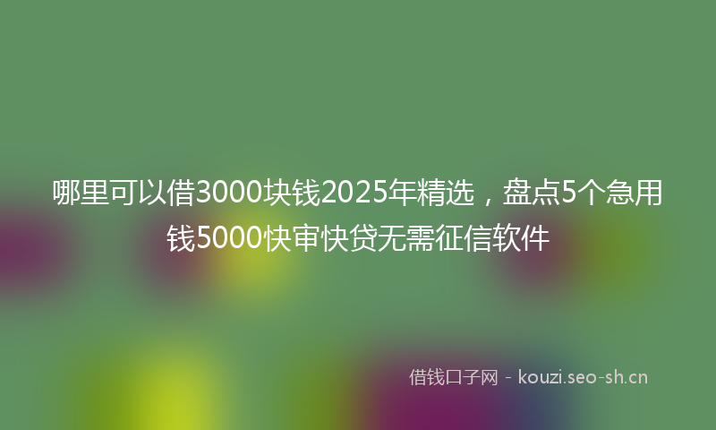 哪里可以借3000块钱2025年精选，盘点5个急用钱5000快审快贷无需征信软件