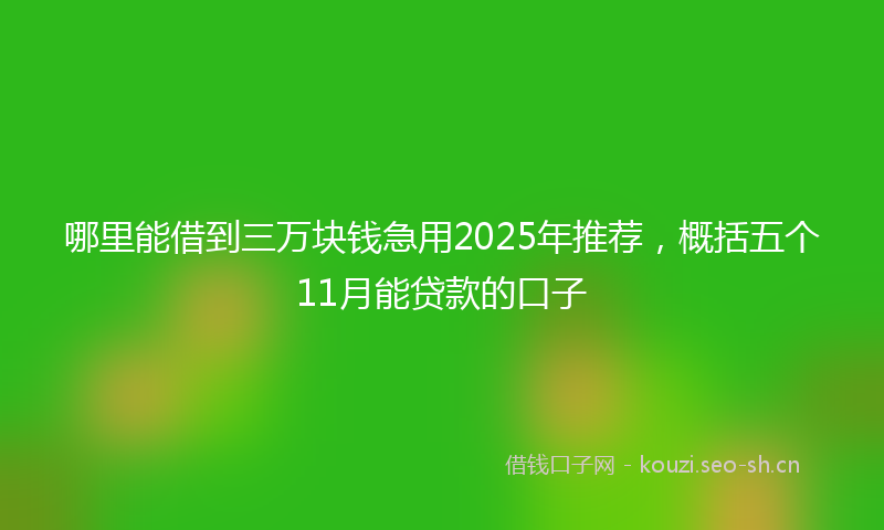 哪里能借到三万块钱急用2025年推荐，概括五个11月能贷款的口子