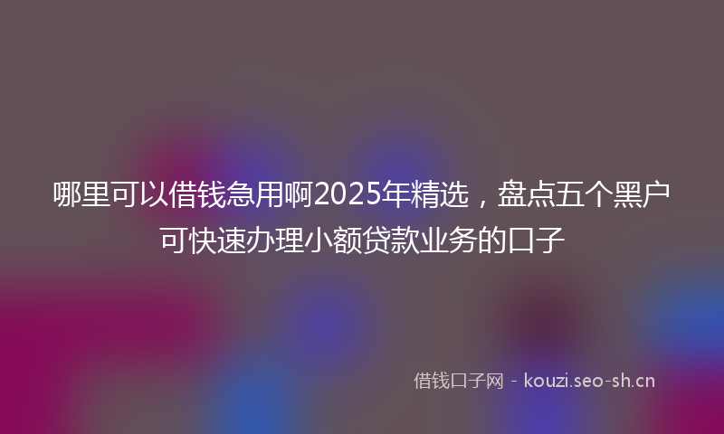 哪里可以借钱急用啊2025年精选，盘点五个黑户可快速办理小额贷款业务的口子