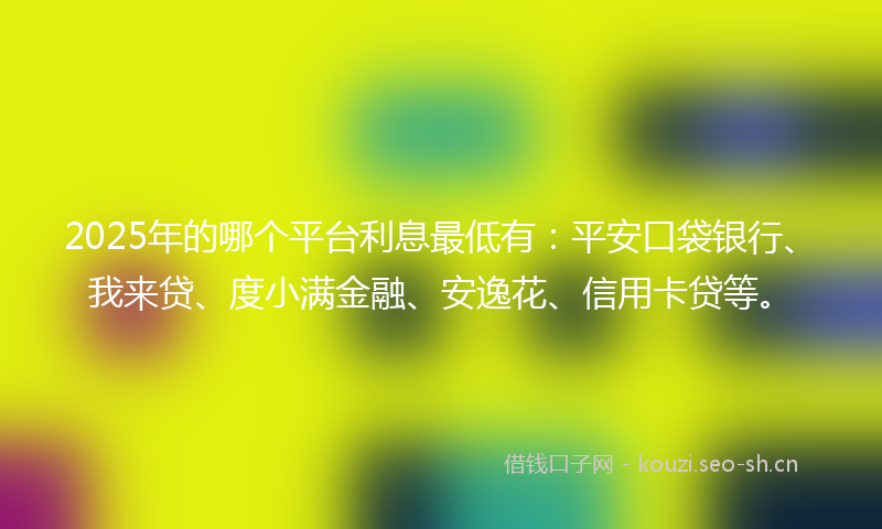 2025年的哪个平台利息最低有：平安口袋银行、我来贷、度小满金融、安逸花、信用卡贷等。