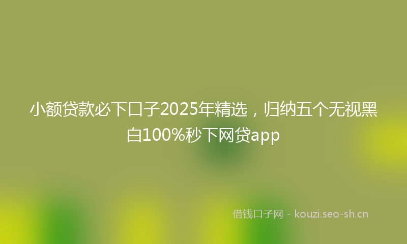 小额贷款必下口子2025年精选,归纳五个无视黑白100%秒下网贷app