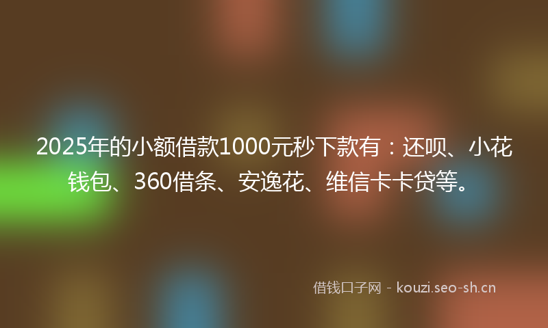 2025年的小额借款1000元秒下款有:还呗、小花钱包、360借条、安逸花、维信卡卡贷等。