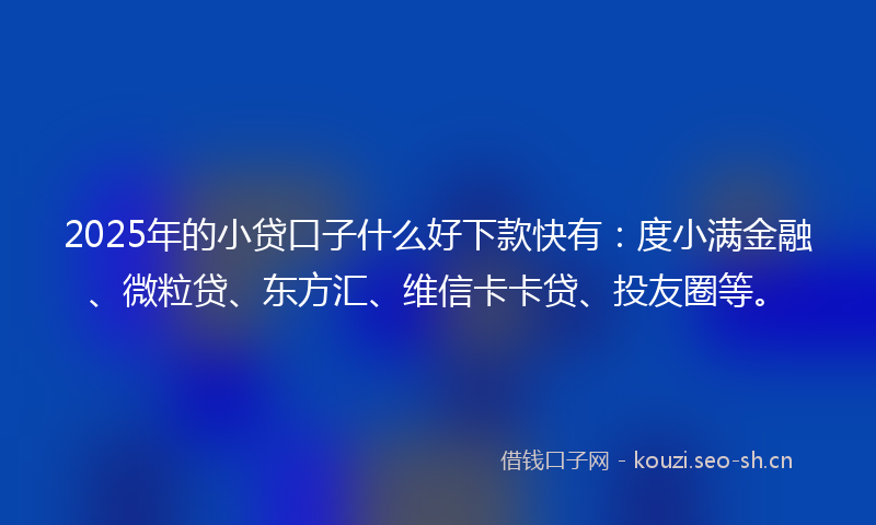 2025年的小贷口子什么好下款快有：度小满金融、微粒贷、东方汇、维信卡卡贷、投友圈等。