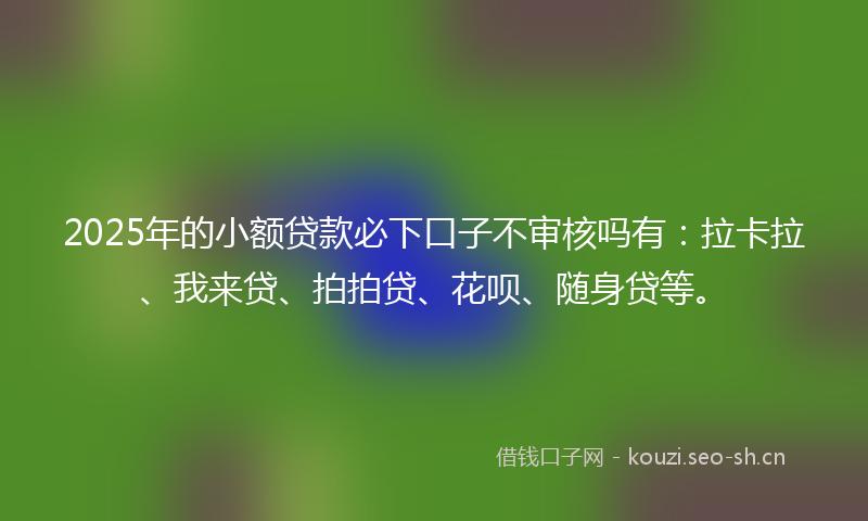 2025年的小额贷款必下口子不审核吗有：拉卡拉、我来贷、拍拍贷、花呗、随身贷等。