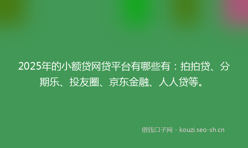 2025年的小额贷网贷平台有哪些有：拍拍贷、分期乐、投友圈、京东金融、人人贷等。