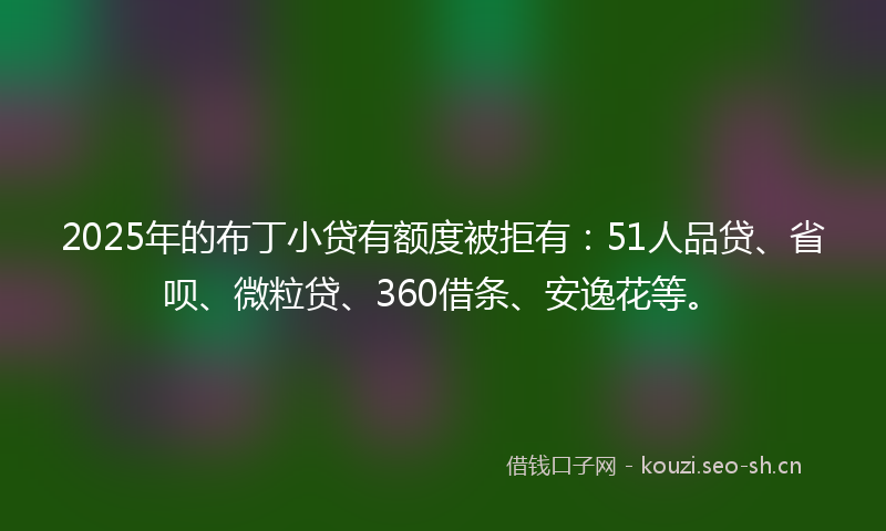 2025年的布丁小贷有额度被拒有：51人品贷、省呗、微粒贷、360借条、安逸花等。