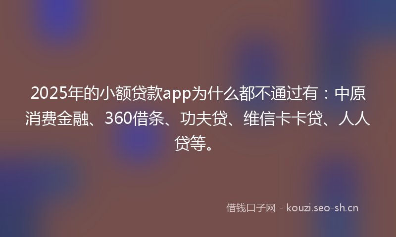 2025年的小额贷款app为什么都不通过有：中原消费金融、360借条、功夫贷、维信卡卡贷、人人贷等。