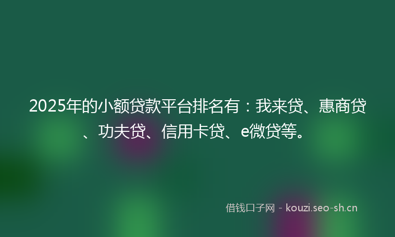 2025年的小额贷款平台排名有：我来贷、惠商贷、功夫贷、信用卡贷、e微贷等。