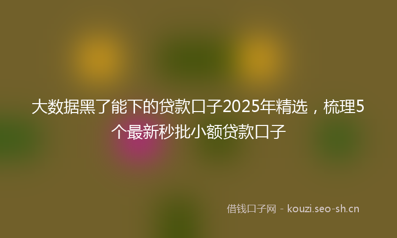 大数据黑了能下的贷款口子2025年精选，梳理5个最新秒批小额贷款口子