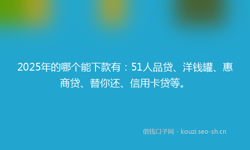 2025年的哪个能下款有：51人品贷、洋钱罐、惠商贷、替你还、信用卡贷等。