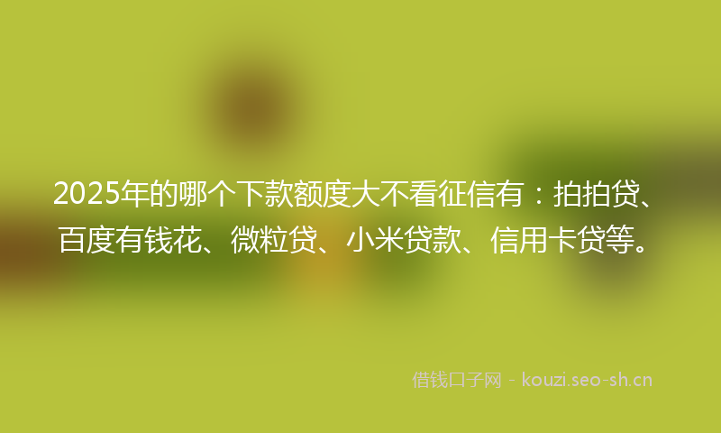 2025年的哪个下款额度大不看征信有：拍拍贷、百度有钱花、微粒贷、小米贷款、信用卡贷等。