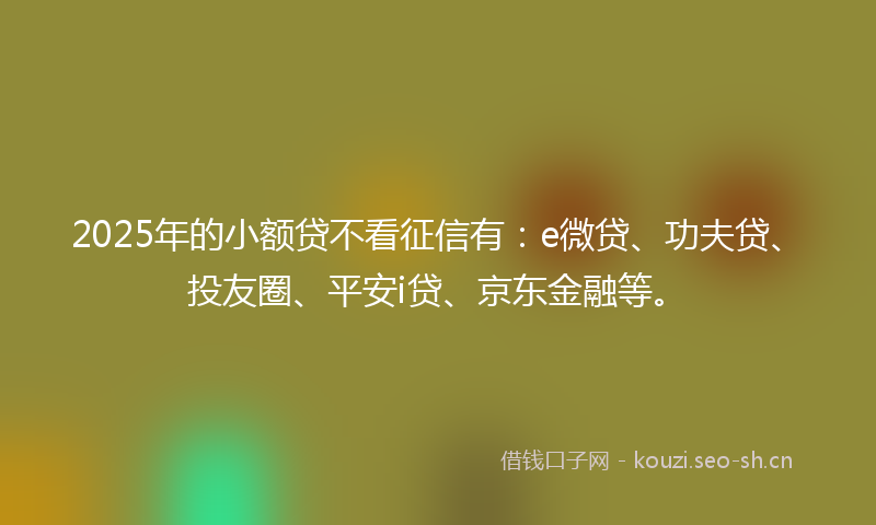 2025年的小额贷不看征信有：e微贷、功夫贷、投友圈、平安i贷、京东金融等。