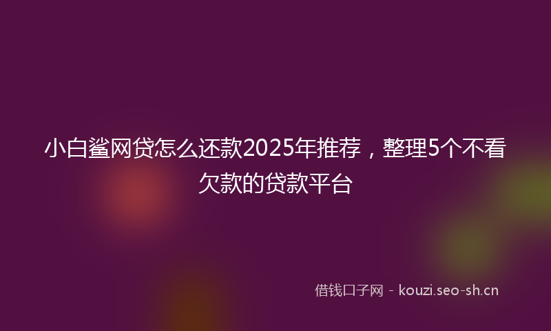 小白鲨网贷怎么还款2025年推荐，整理5个不看欠款的贷款平台