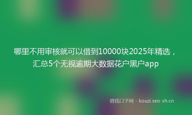 哪里不用审核就可以借到10000块2025年精选，汇总5个无视逾期大数据花户黑户app