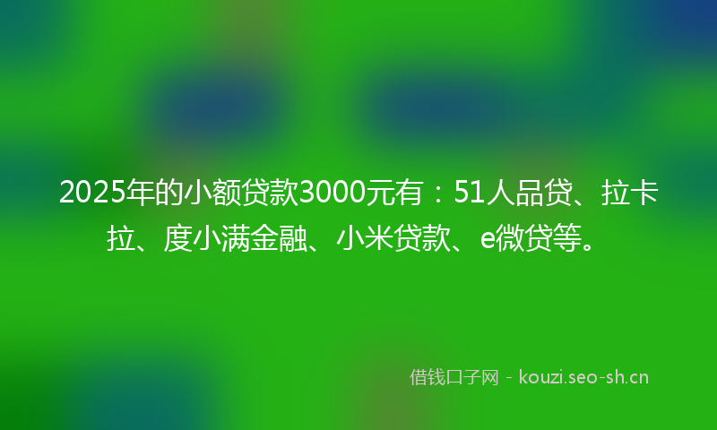 2025年的小额贷款3000元有：51人品贷、拉卡拉、度小满金融、小米贷款、e微贷等。