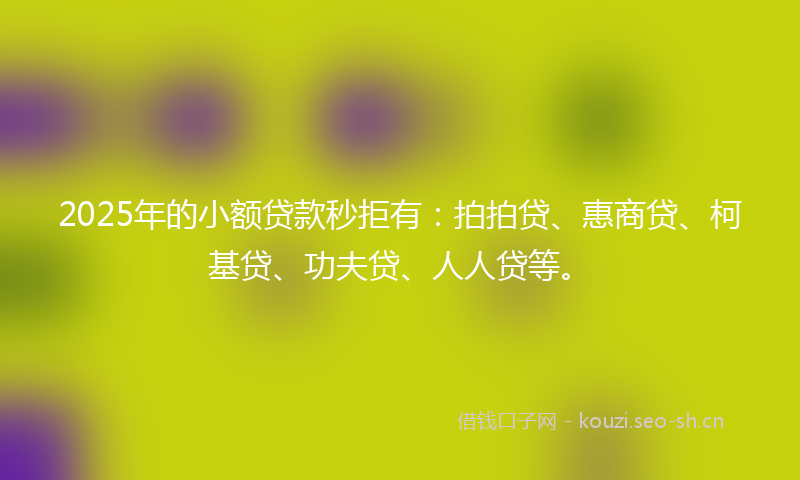 2025年的小额贷款秒拒有：拍拍贷、惠商贷、柯基贷、功夫贷、人人贷等。