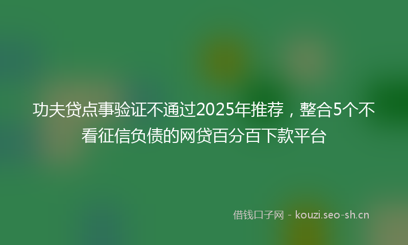 功夫贷点事验证不通过2025年推荐，整合5个不看征信负债的网贷百分百下款平台