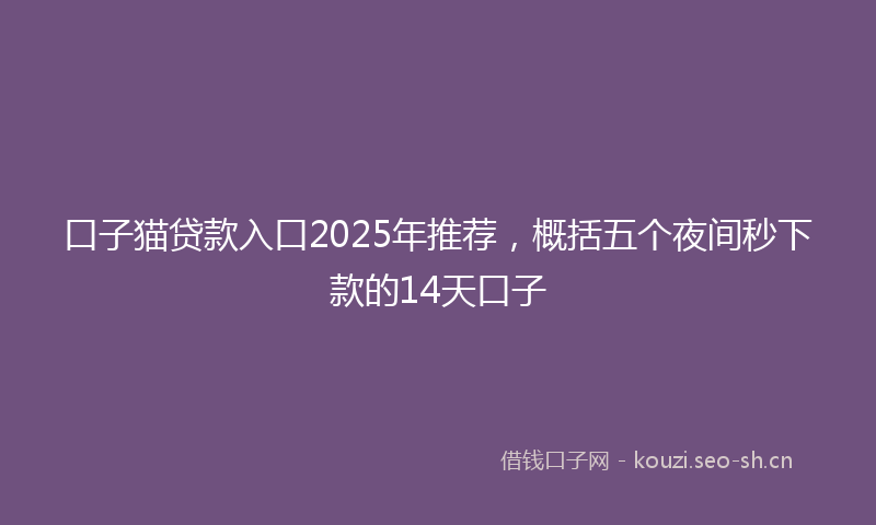 口子猫贷款入口2025年推荐，概括五个夜间秒下款的14天口子
