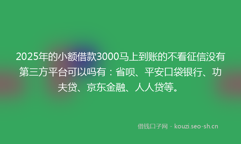 2025年的小额借款3000马上到账的不看征信没有第三方平台可以吗有：省呗、平安口袋银行、功夫贷、京东金融、人人贷等。