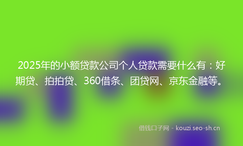 2025年的小额贷款公司个人贷款需要什么有：好期贷、拍拍贷、360借条、团贷网、京东金融等。