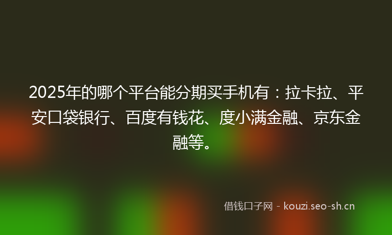 2025年的哪个平台能分期买手机有：拉卡拉、平安口袋银行、百度有钱花、度小满金融、京东金融等。