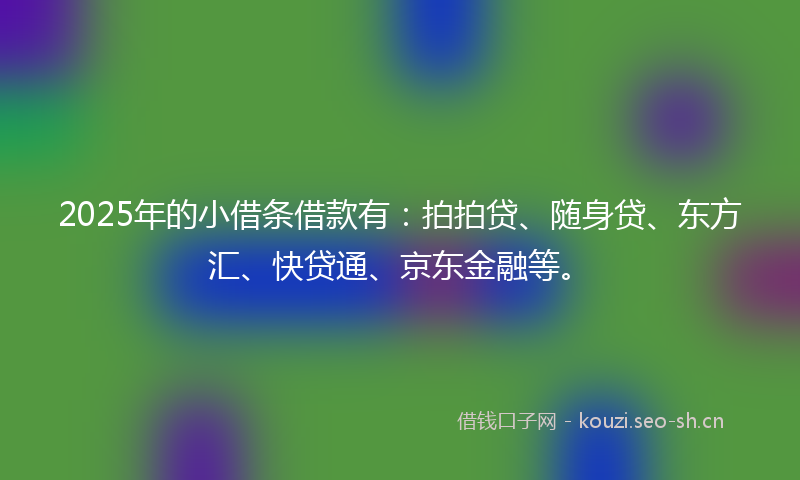 2025年的小借条借款有：拍拍贷、随身贷、东方汇、快贷通、京东金融等。