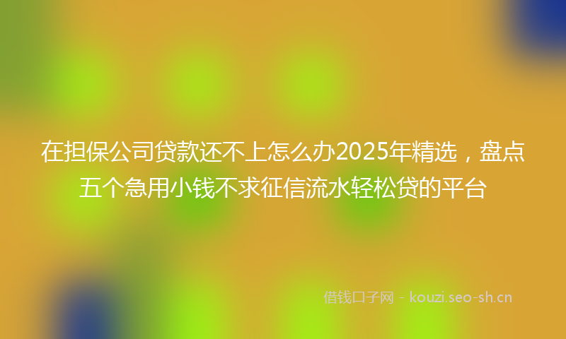 在担保公司贷款还不上怎么办2025年精选，盘点五个急用小钱不求征信流水轻松贷的平台