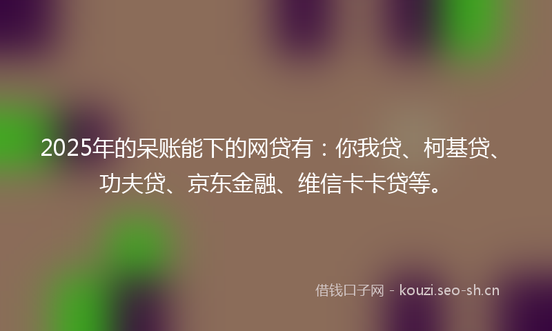 2025年的呆账能下的网贷有：你我贷、柯基贷、功夫贷、京东金融、维信卡卡贷等。