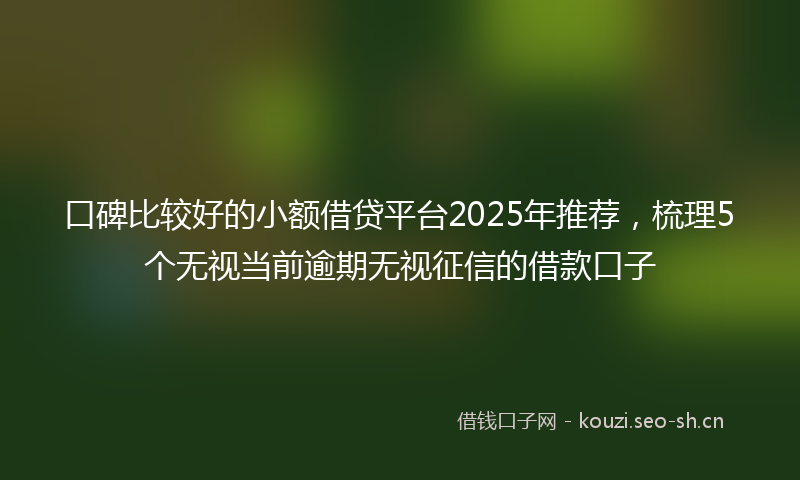 口碑比较好的小额借贷平台2025年推荐，梳理5个无视当前逾期无视征信的借款口子
