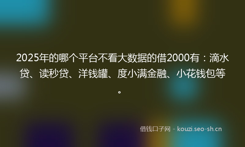 2025年的哪个平台不看大数据的借2000有：滴水贷、读秒贷、洋钱罐、度小满金融、小花钱包等。