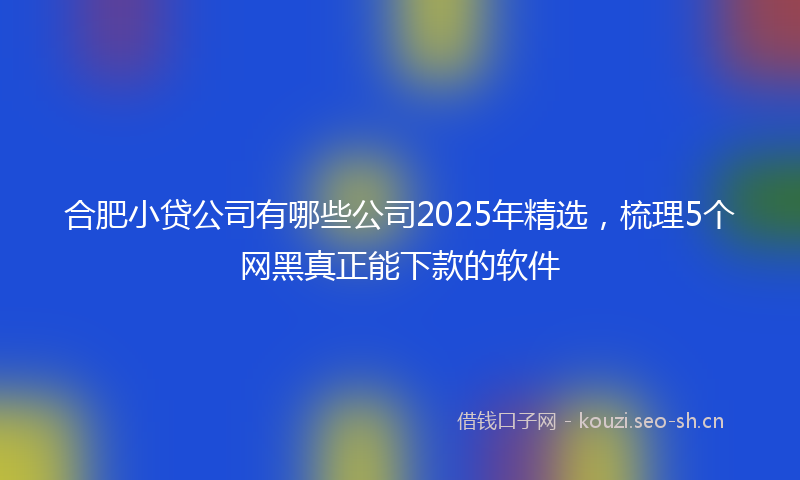 合肥小贷公司有哪些公司2025年精选,梳理5个网黑真正能下款的软件