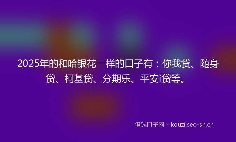 2025年的和哈银花一样的口子有:你我贷、随身贷、柯基贷、分期乐、平安i贷等。
