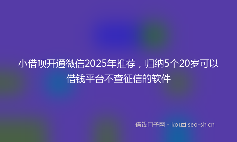 小借呗开通微信2025年推荐，归纳5个20岁可以借钱平台不查征信的软件
