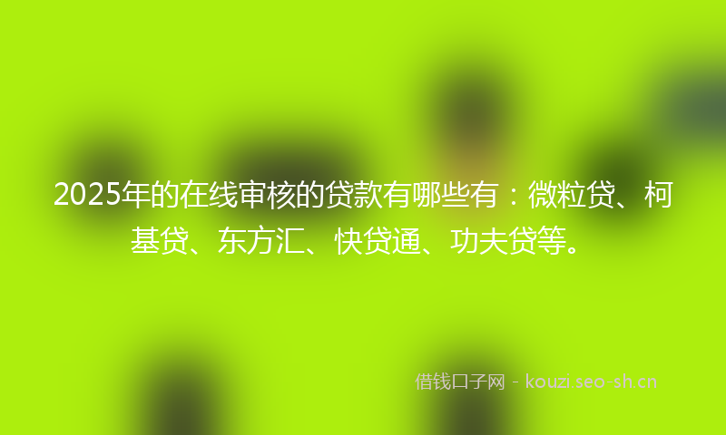 2025年的在线审核的贷款有哪些有:微粒贷、柯基贷、东方汇、快贷通、功夫贷等。