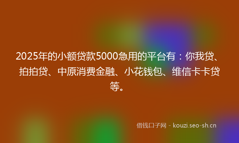 2025年的小额贷款5000急用的平台有：你我贷、拍拍贷、中原消费金融、小花钱包、维信卡卡贷等。