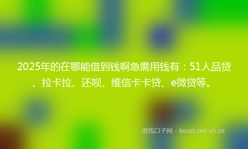 2025年的在哪能借到钱啊急需用钱有：51人品贷、拉卡拉、还呗、维信卡卡贷、e微贷等。