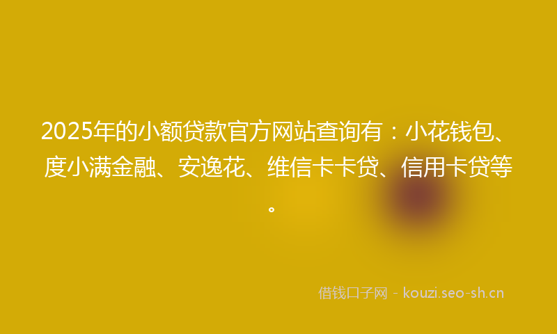 2025年的小额贷款官方网站查询有：小花钱包、度小满金融、安逸花、维信卡卡贷、信用卡贷等。